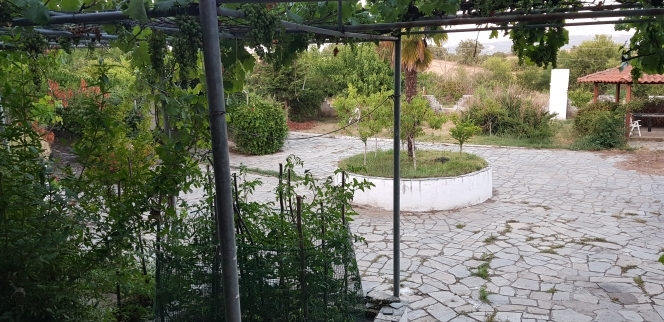 property-img