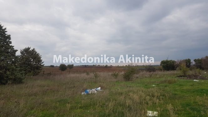 property-img
