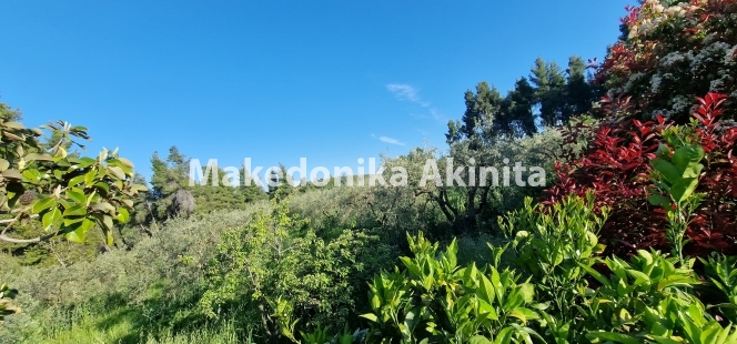 property-img