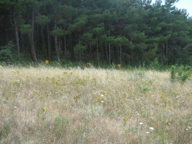 property-img